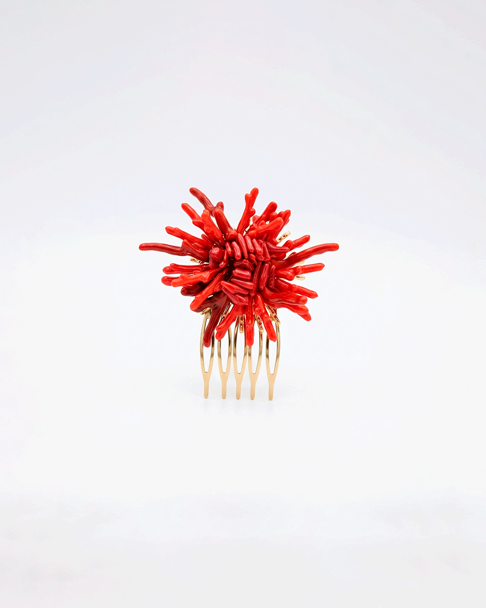 Peinecillo Marisma